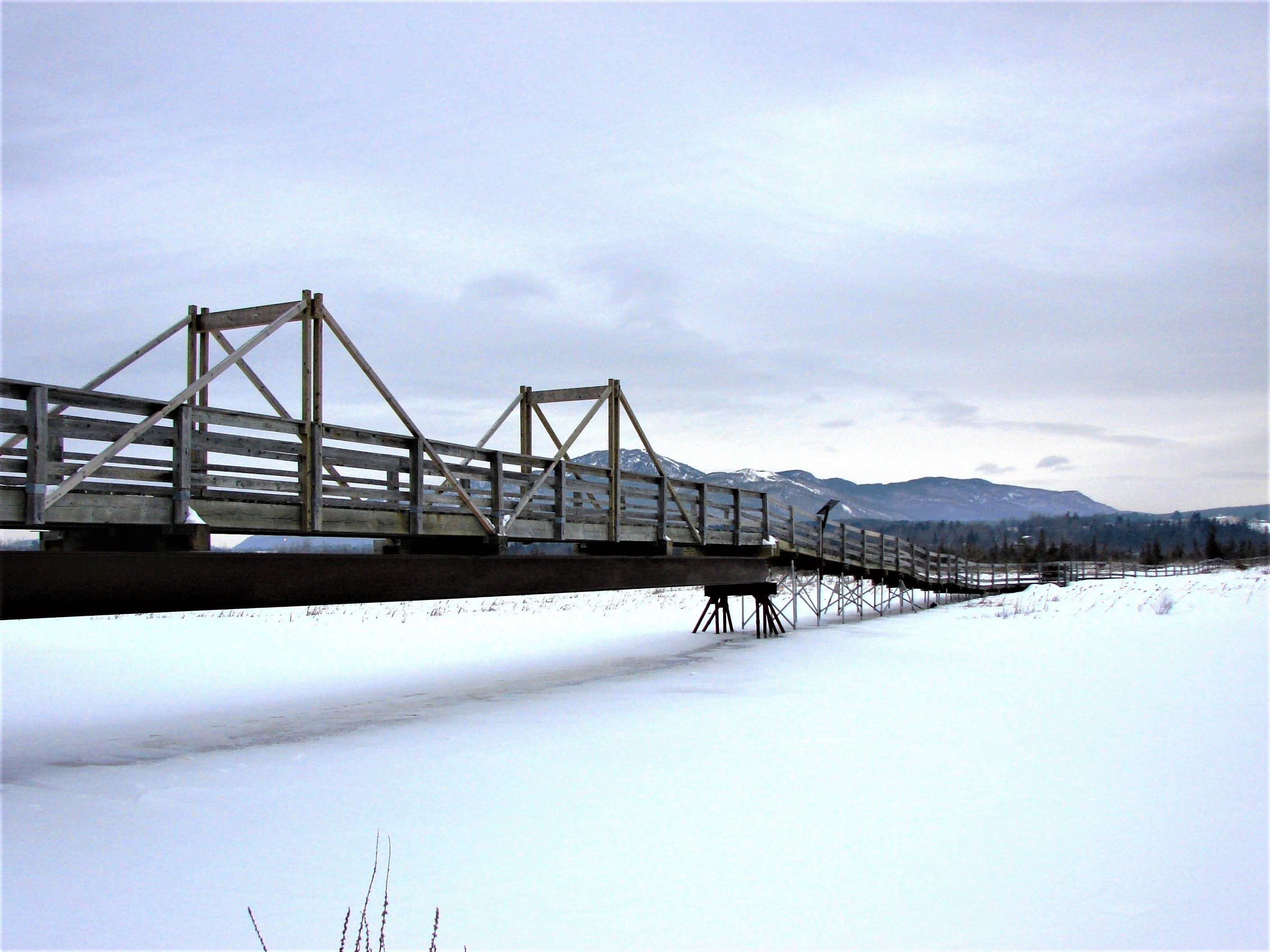 Marais Hiver