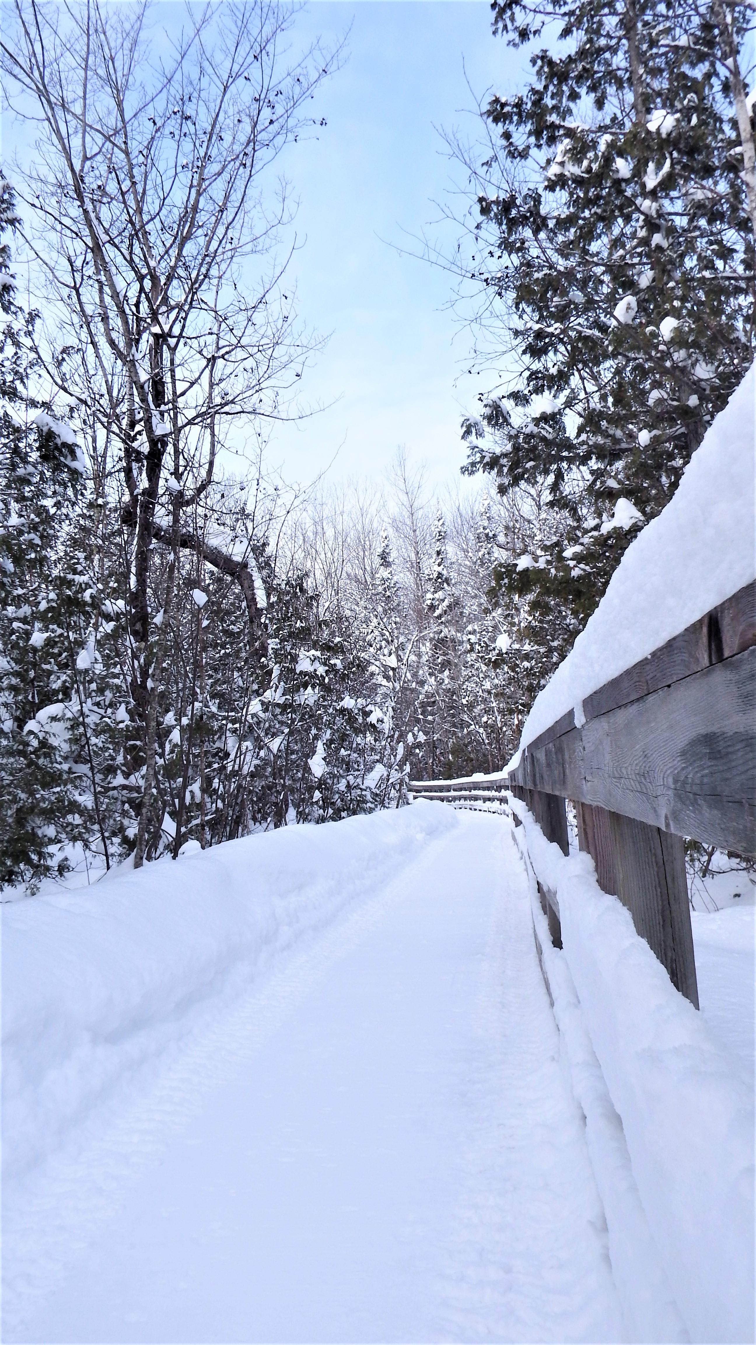 Marais Neige2