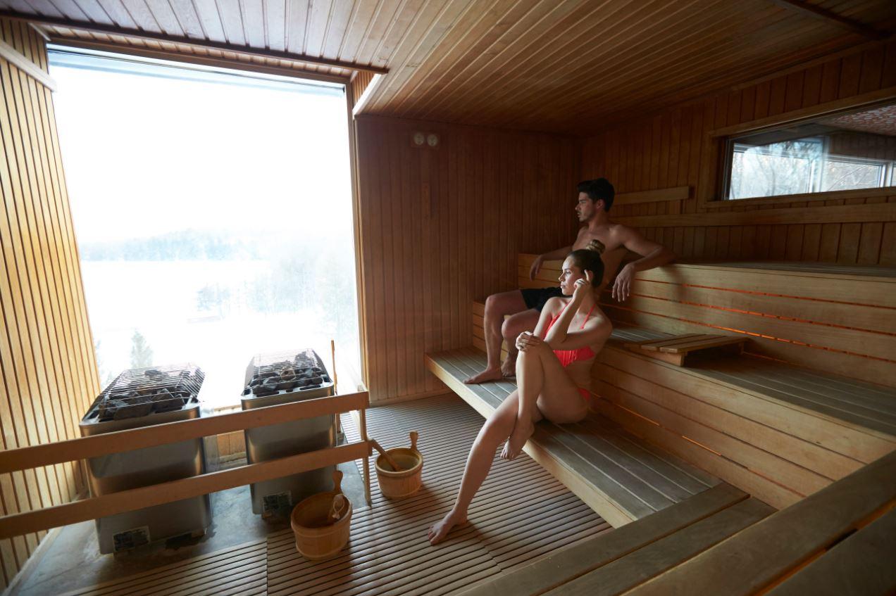 Sauna Vue Paronamique